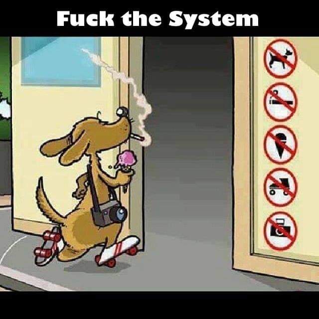 Fuck the System